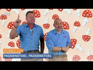 Thumbnail Double DJ's - Paddenstoel, Paddenstoel - Double DJ's