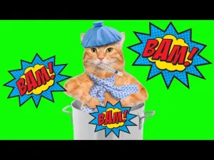thumbnail_sHdWRdOYZMU