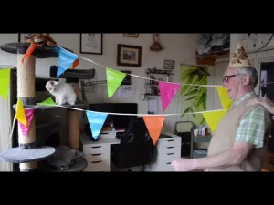 thumbnail_ZwKpdYZ4kr8